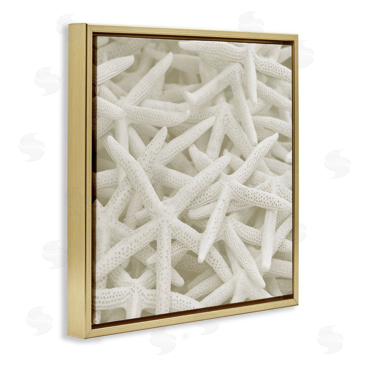 Nautical White Starfish Photography Gold Floating Frame Canvas Wall Art, Home Decor by Stupell Studio