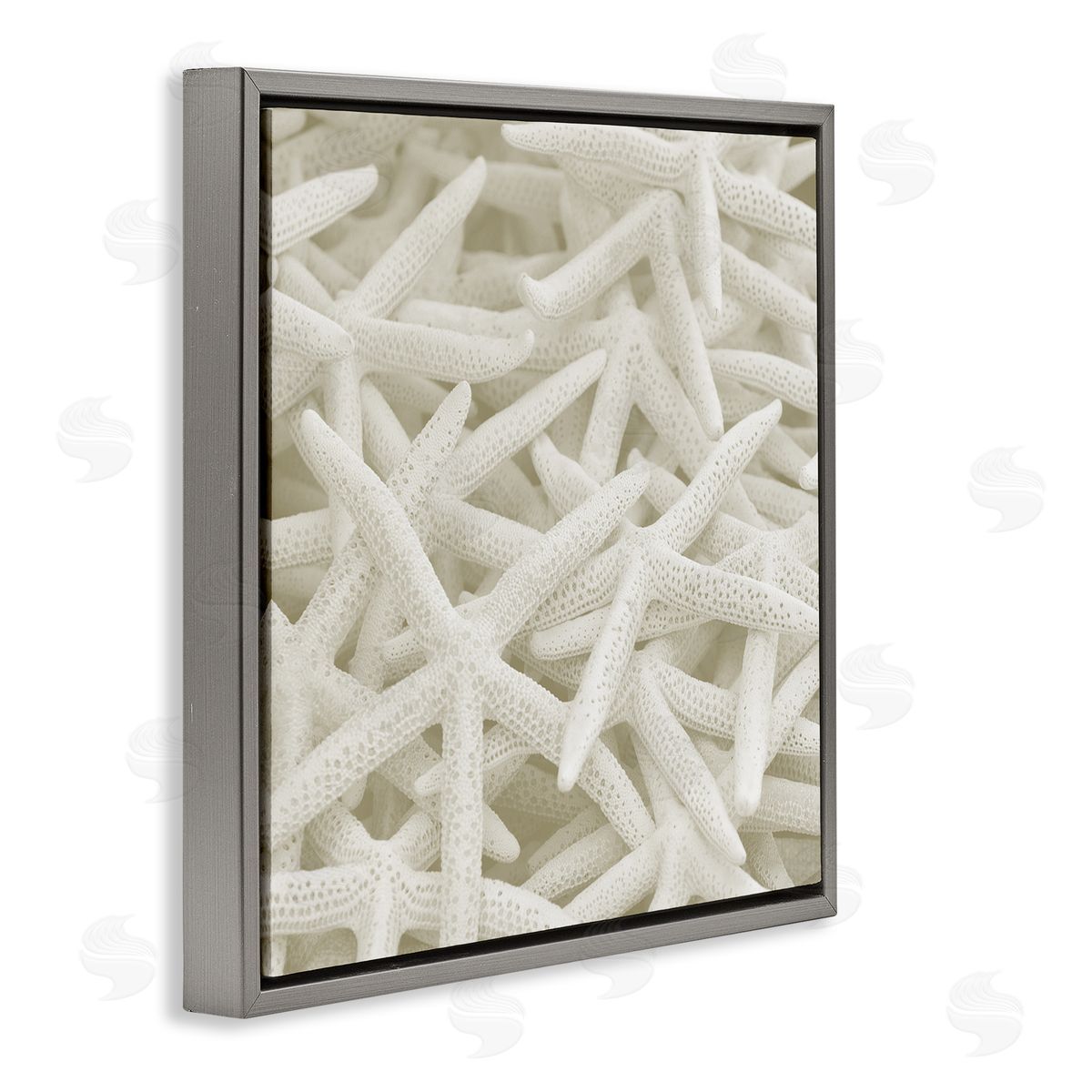 Nautical White Starfish Photography Grey Floating Frame Canvas Wall Art, Home Decor by Stupell Studio