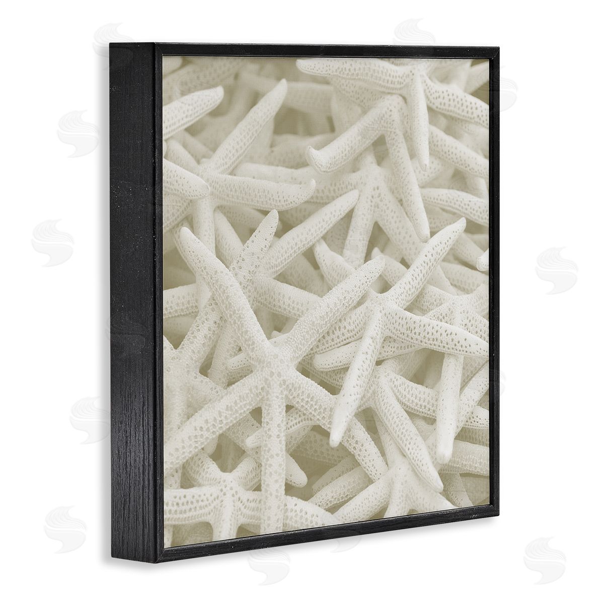Nautical White Starfish Photography Black Frame Print Wall Art, Home Decor by Stupell Studio