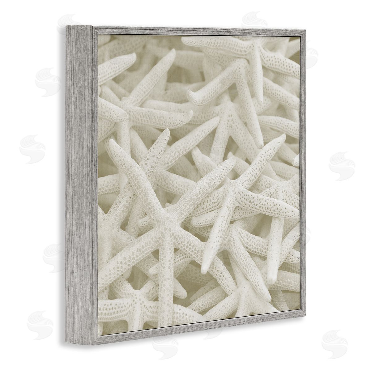 Nautical White Starfish Photography Grey Frame Print Wall Art, Home Decor by Stupell Studio