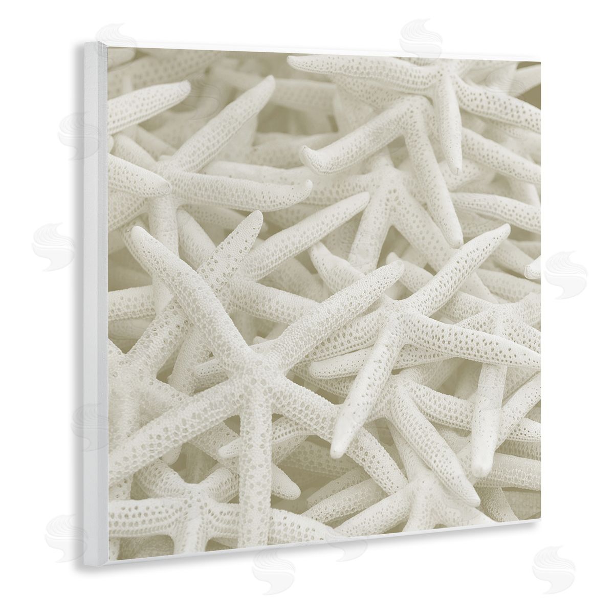 Nautical White Starfish Photography Wood Plaque Wall Art, Home Decor by Stupell Studio