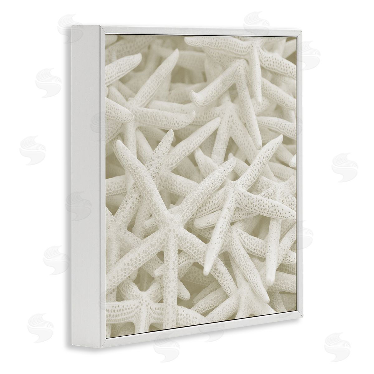 Nautical White Starfish Photography White Frame Print Wall Art, Home Decor by Stupell Studio