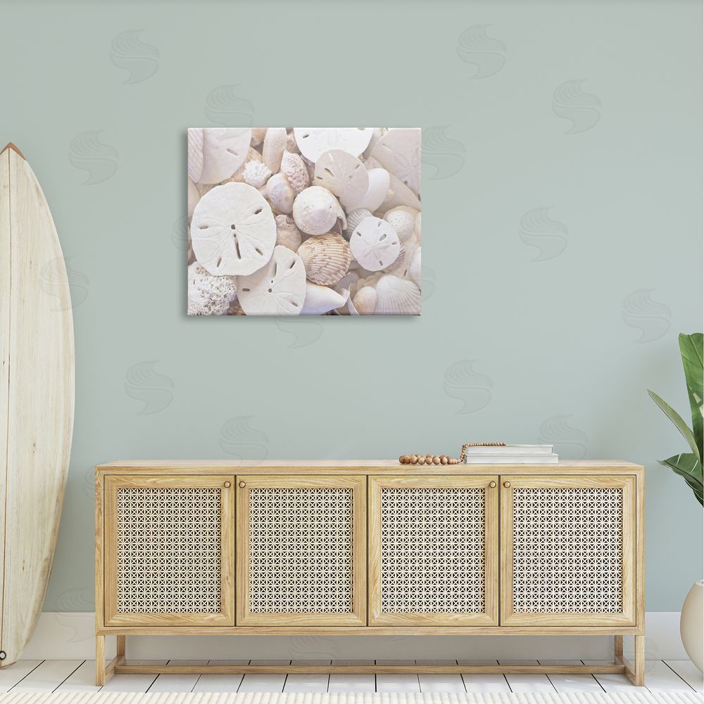 Stupell Studio White Mixed Sand Dollar Shells