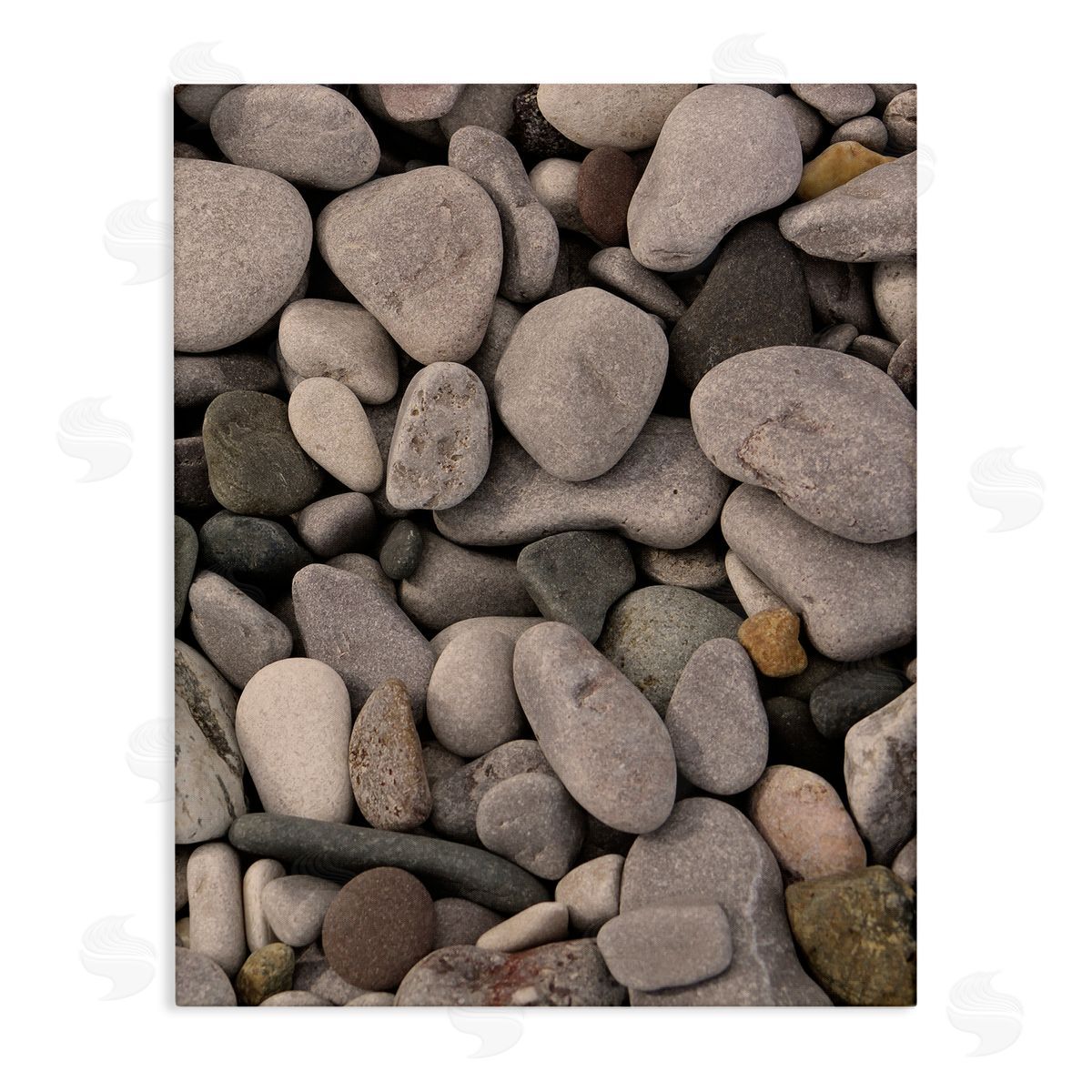 Stupell Studio Various Beach Pebbles Composition