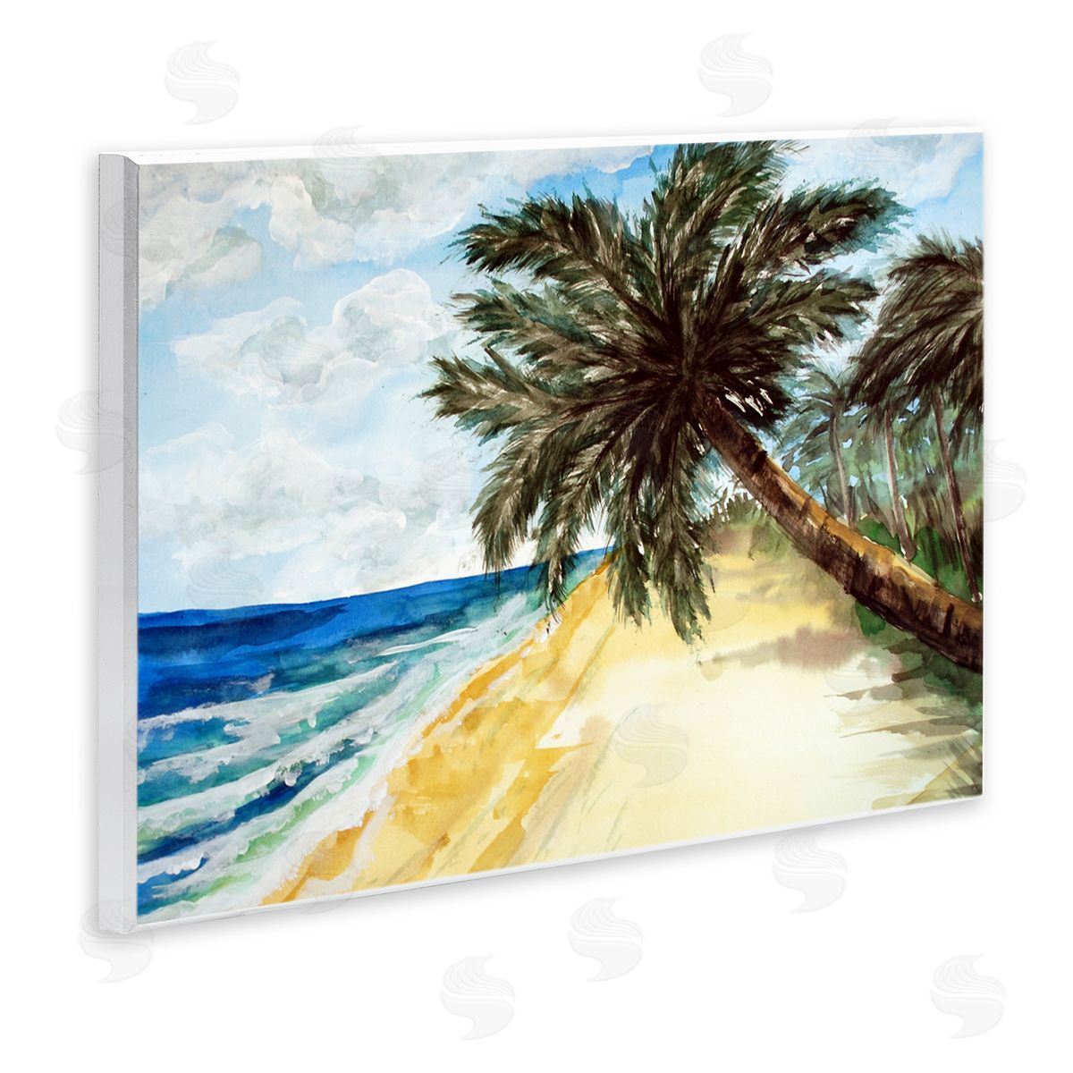 Sebastian Grafmann Summer Palm Overhanging Beach