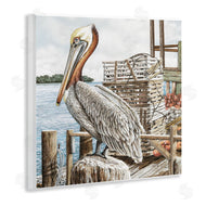 James Harris | Pelican Perched on Fishing Dock