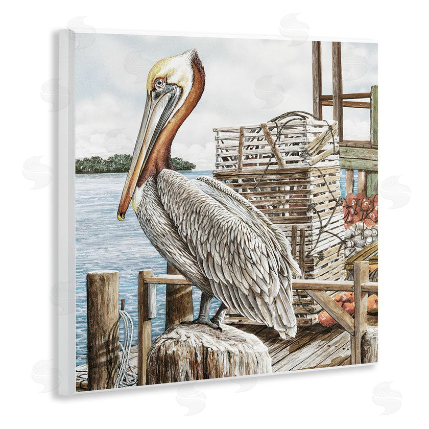 James Harris | Pelican Perched on Fishing Dock