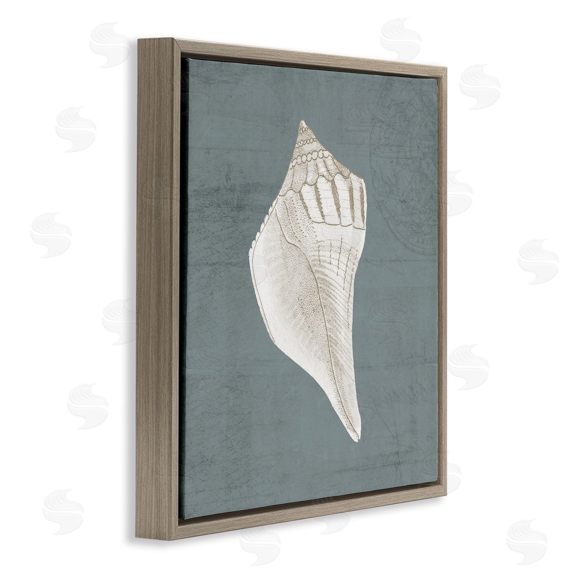 Piddix Conch Seashell Stipple Pattern Brown Floating Frame Canvas Wall Art Print
