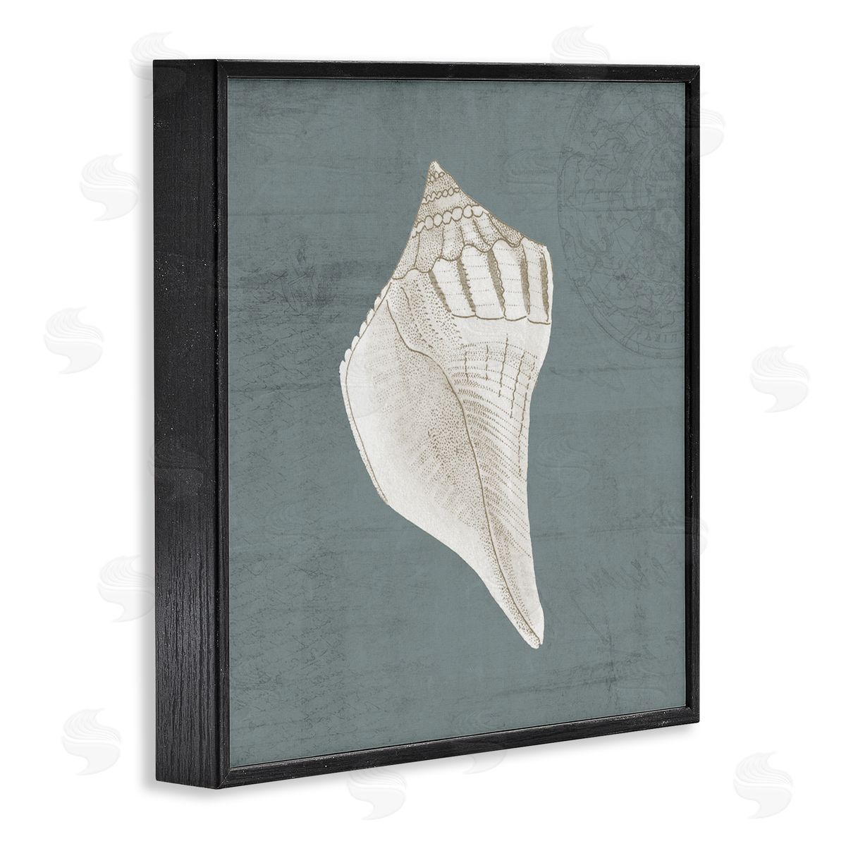 Piddix Conch Seashell Stipple Pattern Black Framed Glicee Wall Art Print
