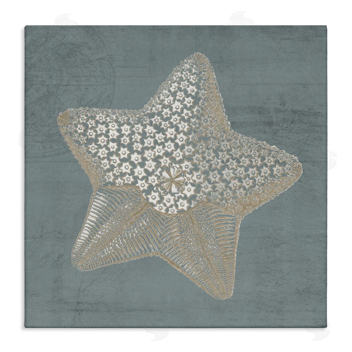 Piddix Patterned Starfish Aquatic Sea Life Stretched Canvas Wall Art Print
