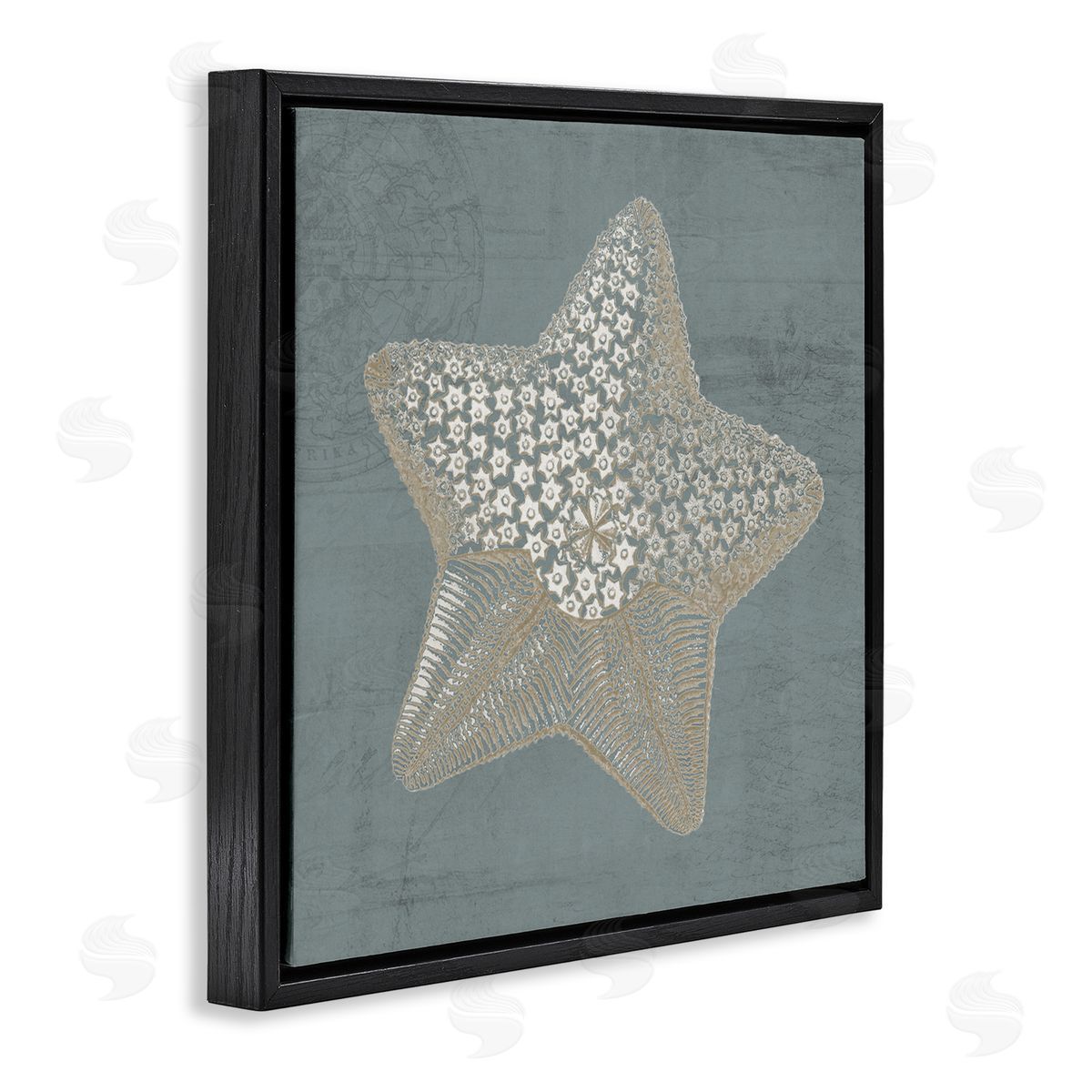 Piddix Patterned Starfish Aquatic Sea Life Black Floating Frame Canvas Wall Art Print