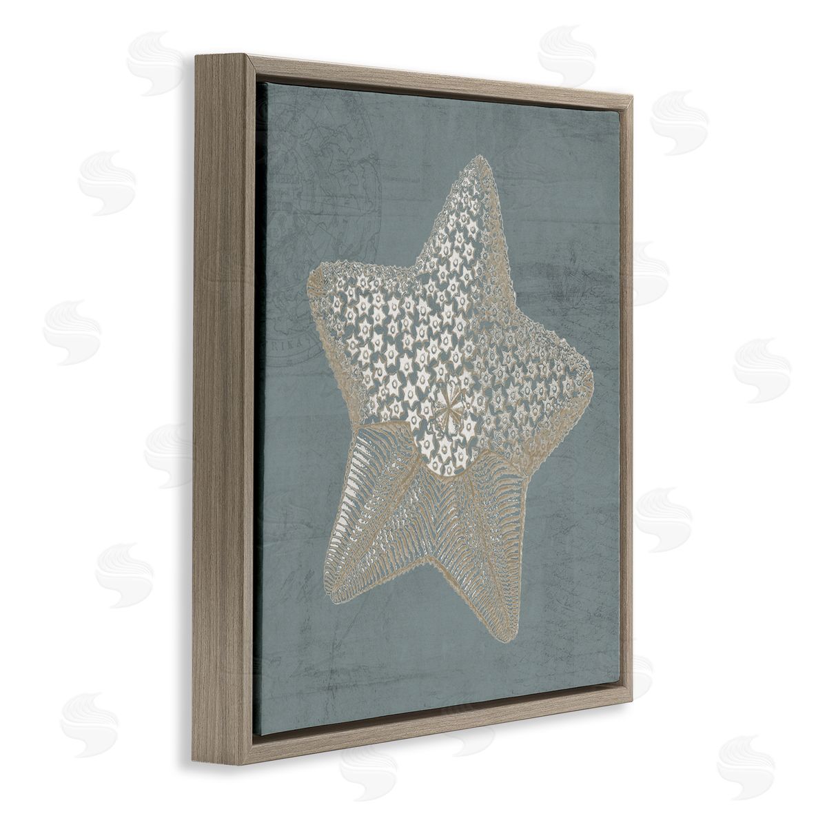 Piddix Patterned Starfish Aquatic Sea Life Brown Floating Frame Canvas Wall Art Print