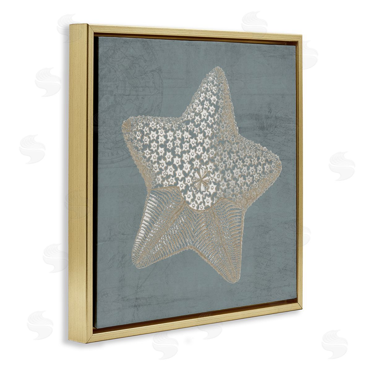 Piddix Patterned Starfish Aquatic Sea Life Gold Floating Frame Canvas Wall Art Print