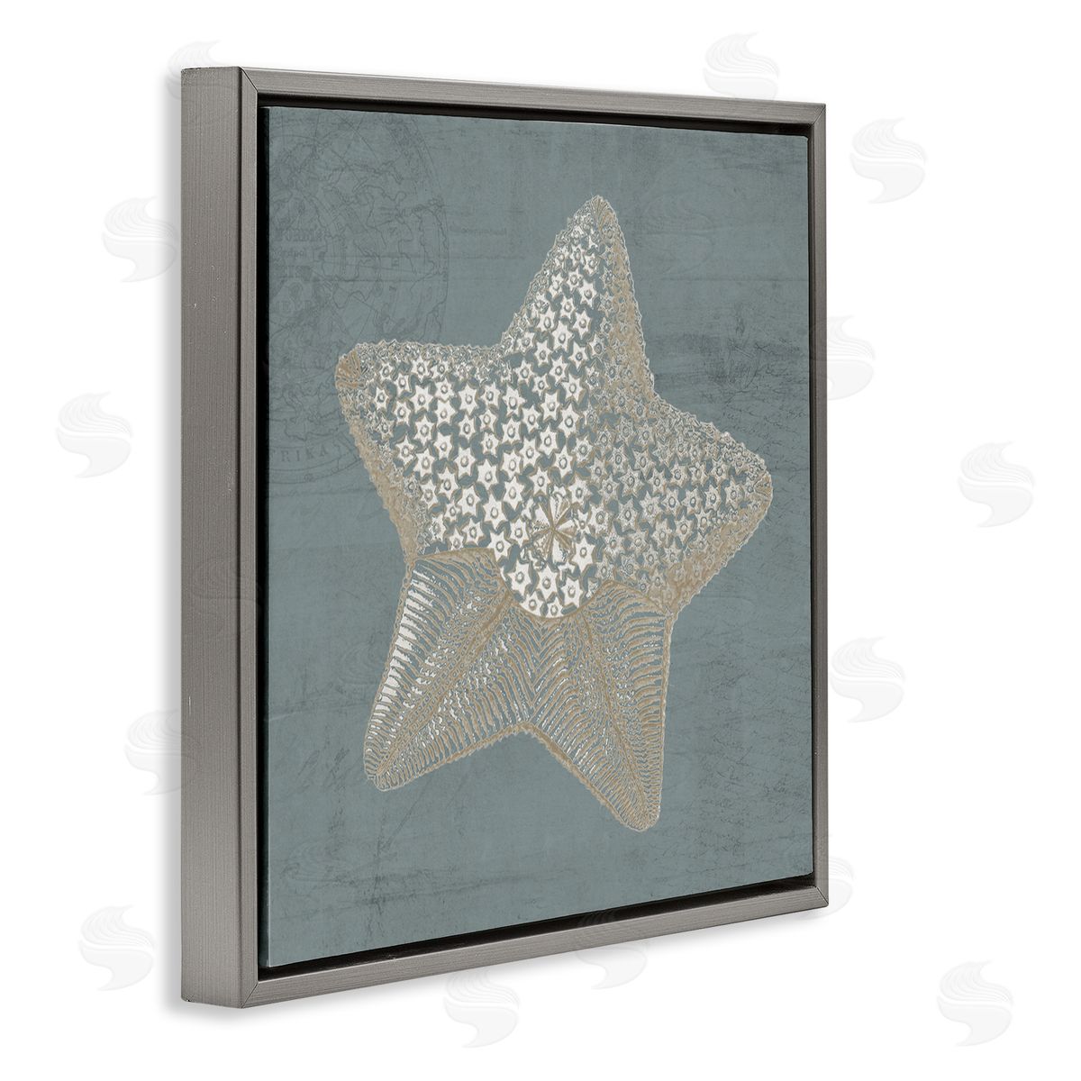 Piddix Patterned Starfish Aquatic Sea Life Gray Floating Frame Canvas Wall Art Print