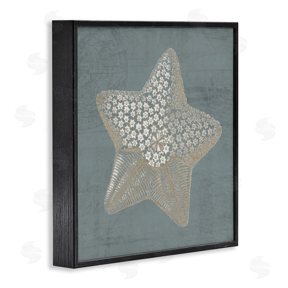 Piddix Patterned Starfish Aquatic Sea Life Black Framed Glicee Wall Art Print