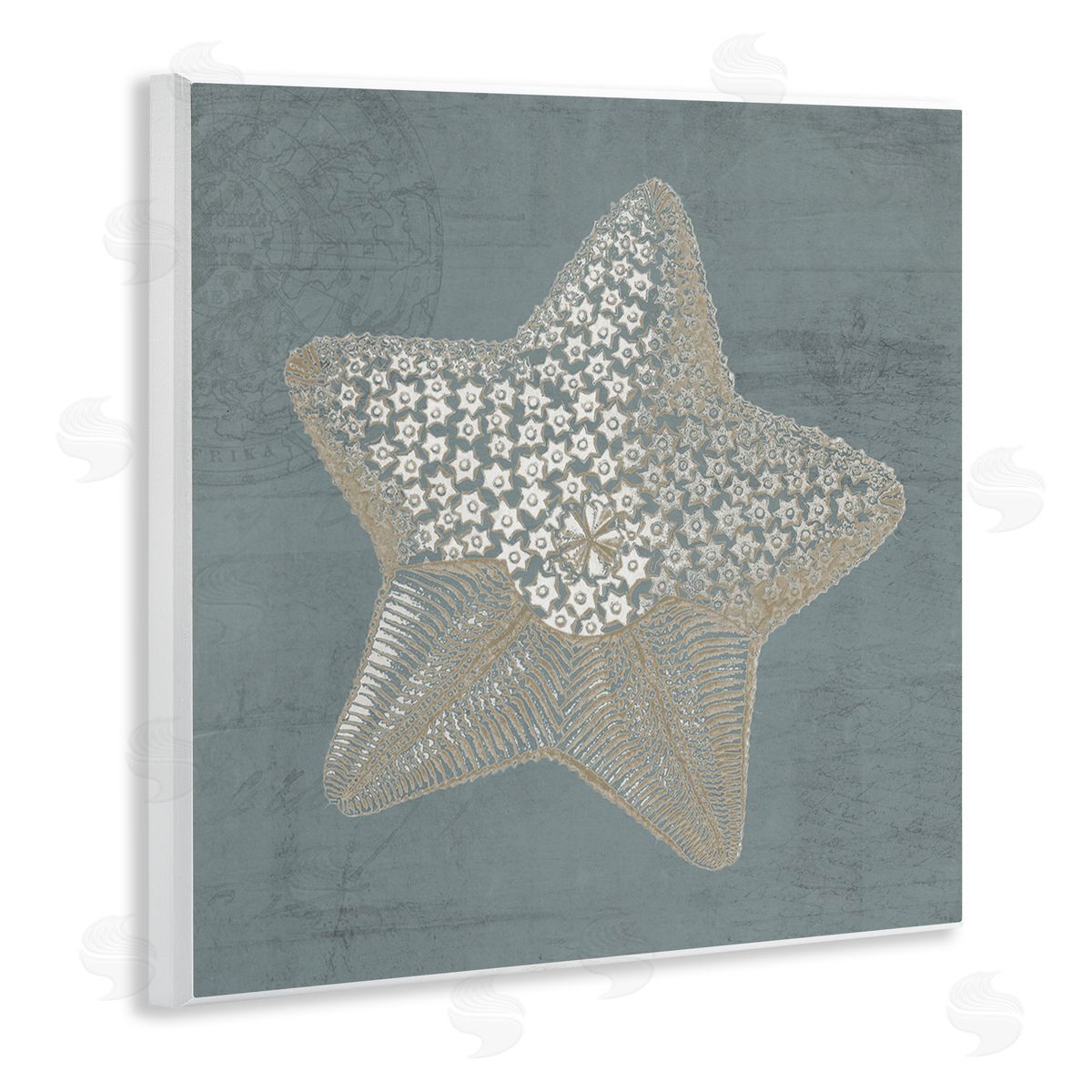 Piddix Patterned Starfish Aquatic Sea Life Wooden Wall Plaque Art Print