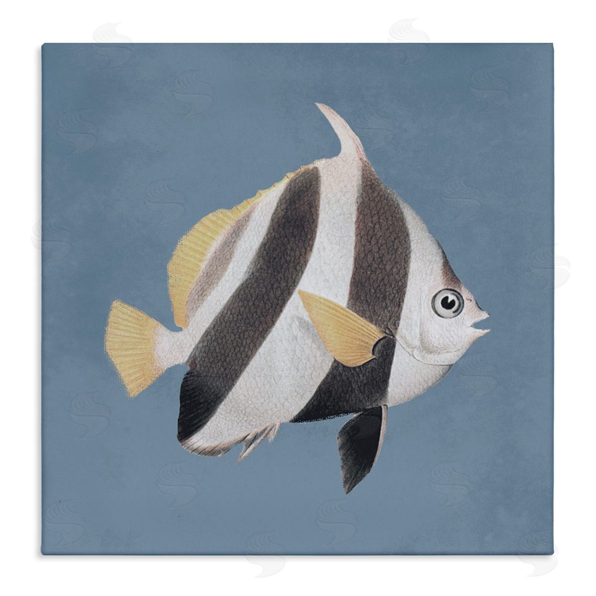 Piddix Striped Fish Marine Life Portrait Stretched Canvas Wall Art Print