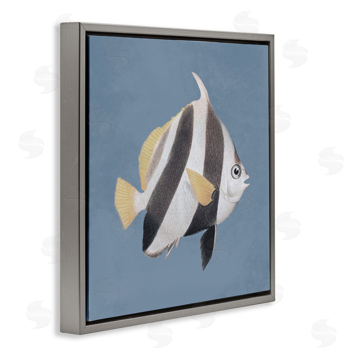 Piddix Striped Fish Marine Life Portrait Gray Floating Frame Canvas Wall Art Print
