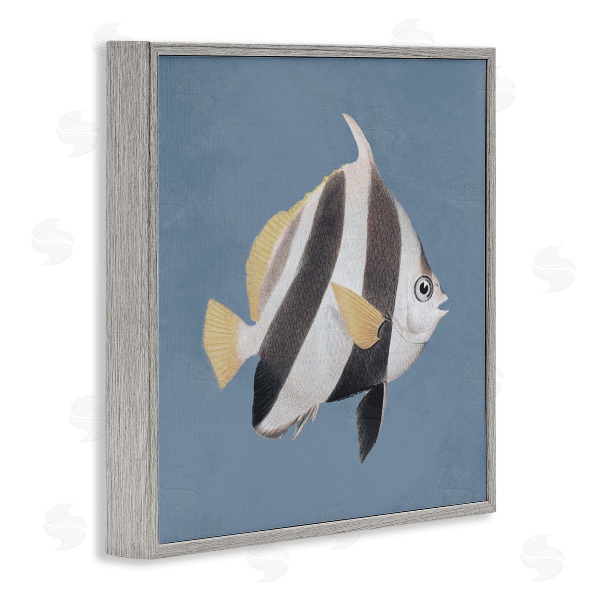Piddix Striped Fish Marine Life Portrait Gray Framed Glicee Wall Art Print