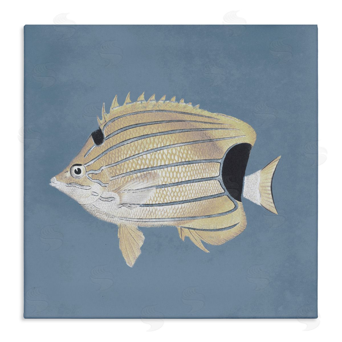 Piddix Striped Fish Portrait Blue Background Stretched Canvas Wall Art Print