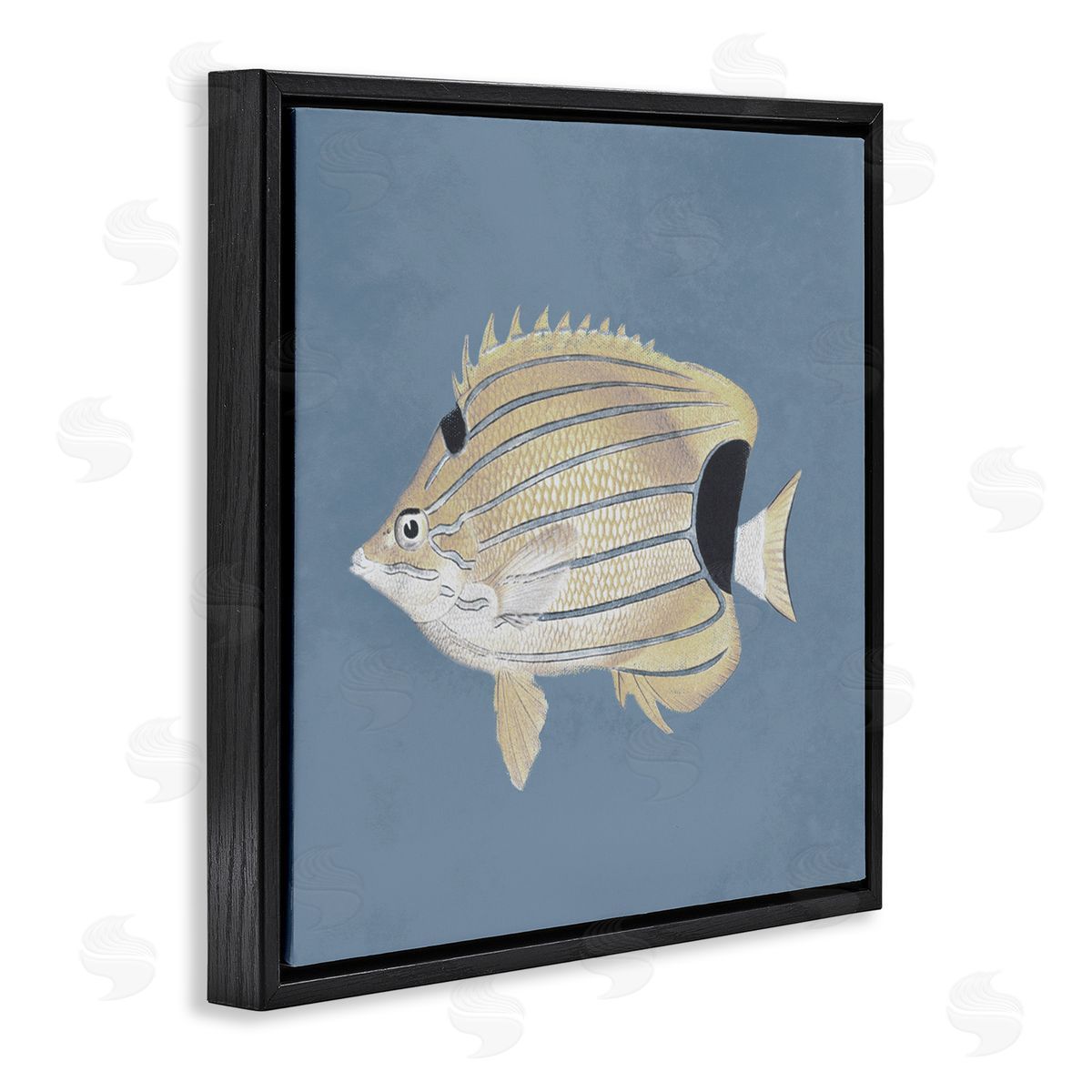 Piddix Striped Fish Portrait Blue Background Black Floating Frame Canvas Wall Art Print