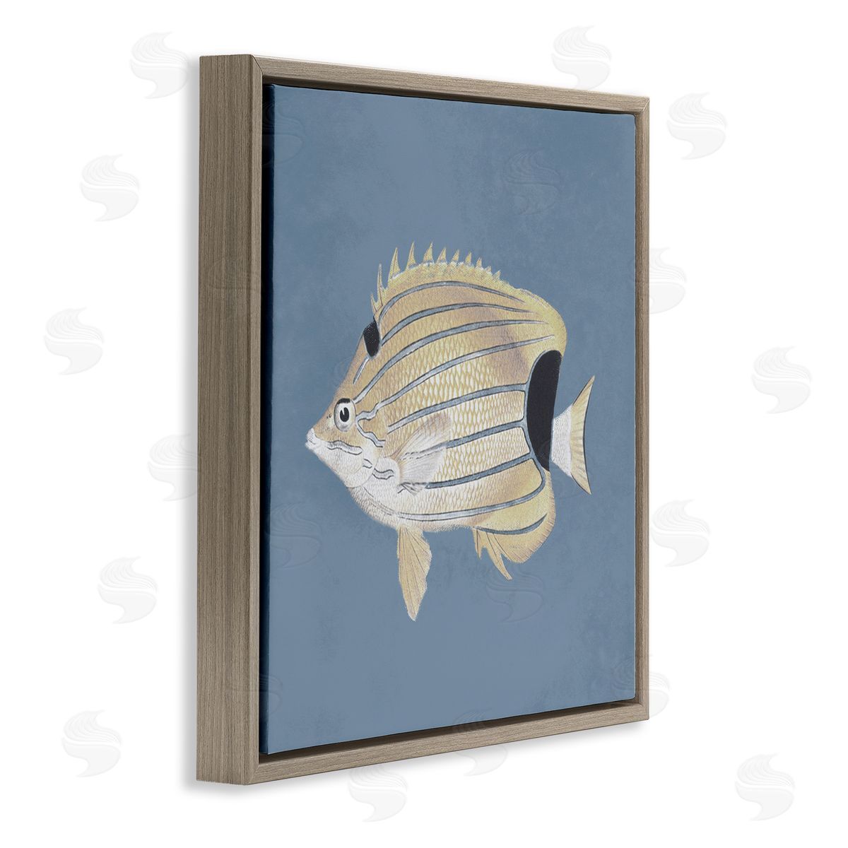 Piddix Striped Fish Portrait Blue Background Brown Floating Frame Canvas Wall Art Print