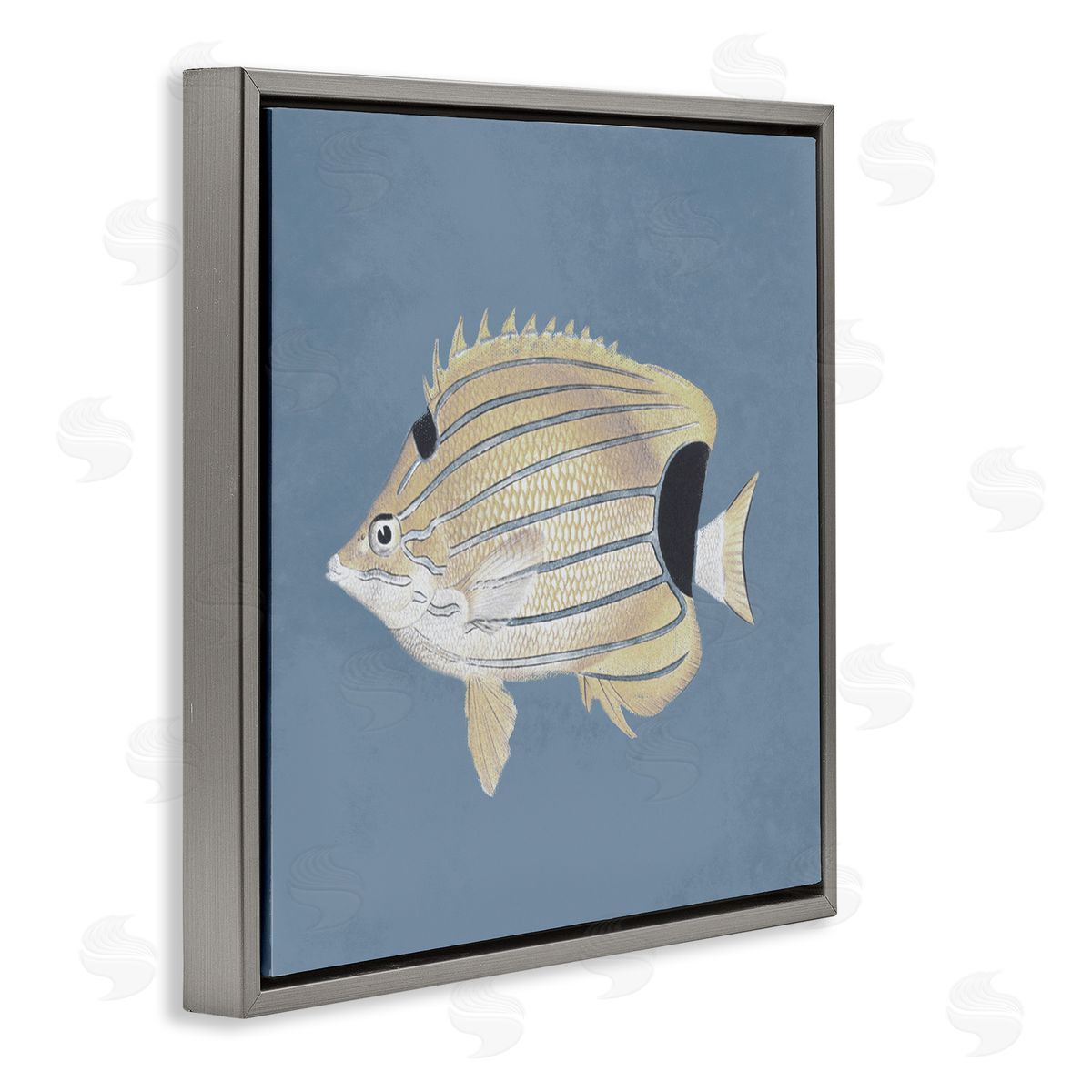 Piddix Striped Fish Portrait Blue Background Gray Floating Frame Canvas Wall Art Print