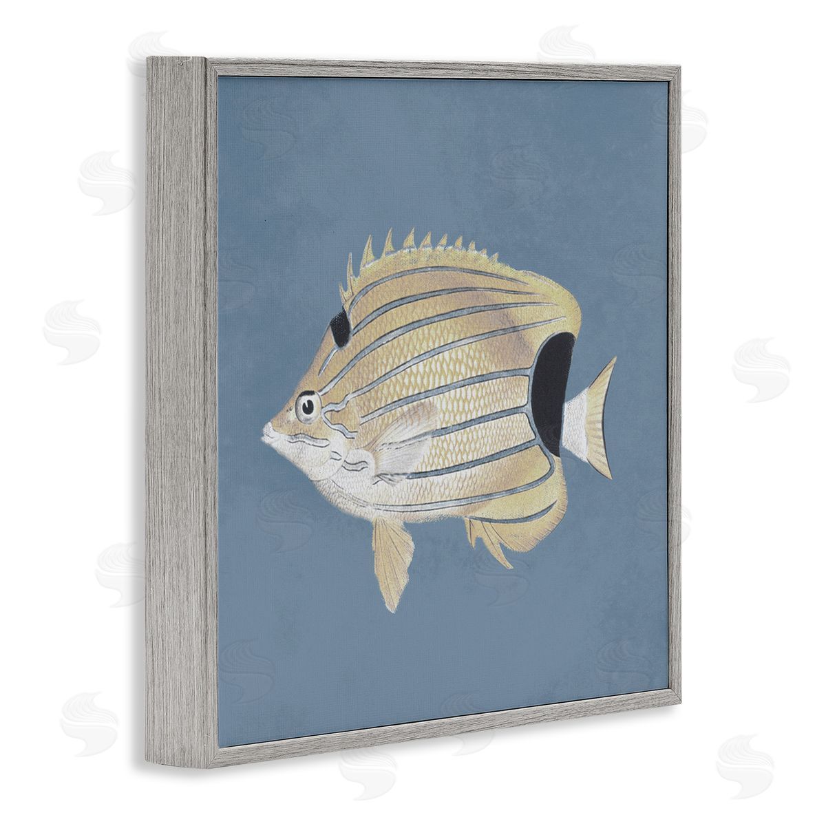 Piddix Striped Fish Portrait Blue Background Gray Framed Glicee Wall Art Print