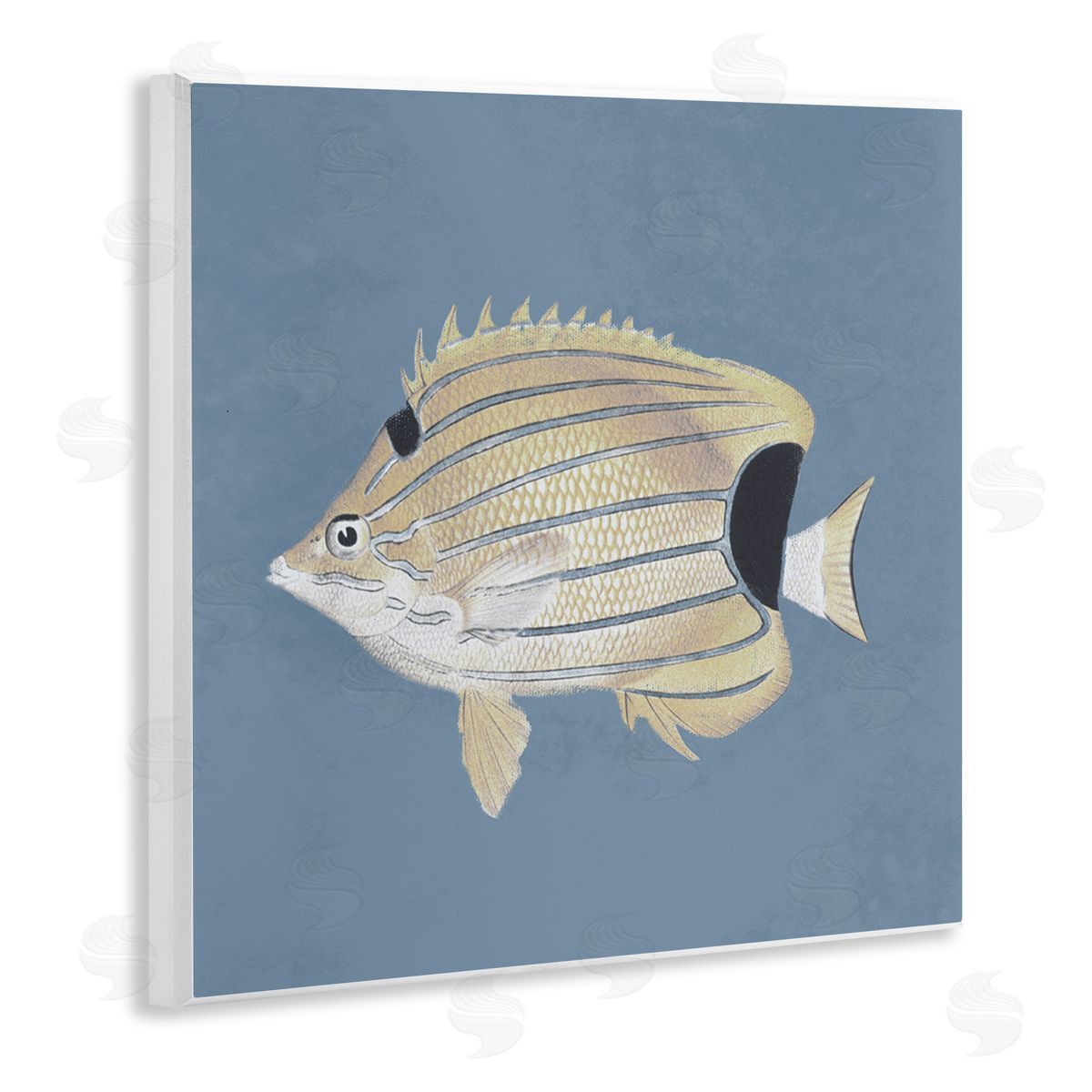Piddix Striped Fish Portrait Blue Background Wooden Wall Plaque Art Print