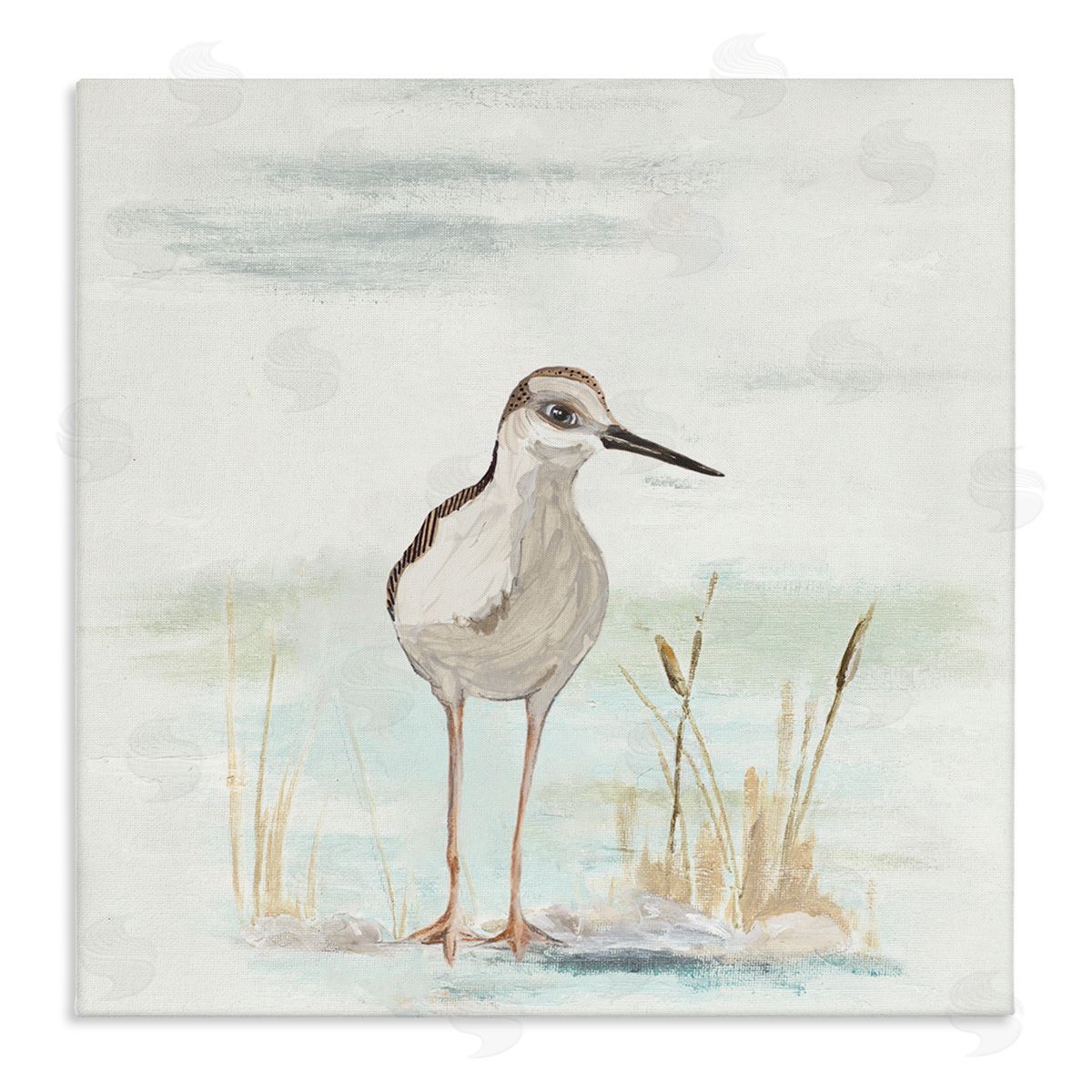 Patricia Pinto Sandpiper Bird Beach Grass Sprigs Stretched Canvas Wall Art Print