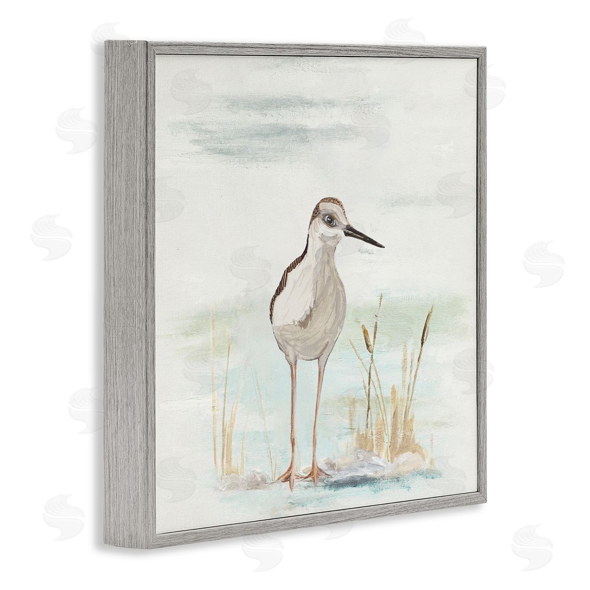 Patricia Pinto Sandpiper Bird Beach Grass Sprigs Gray Framed Glicee Wall Art Print