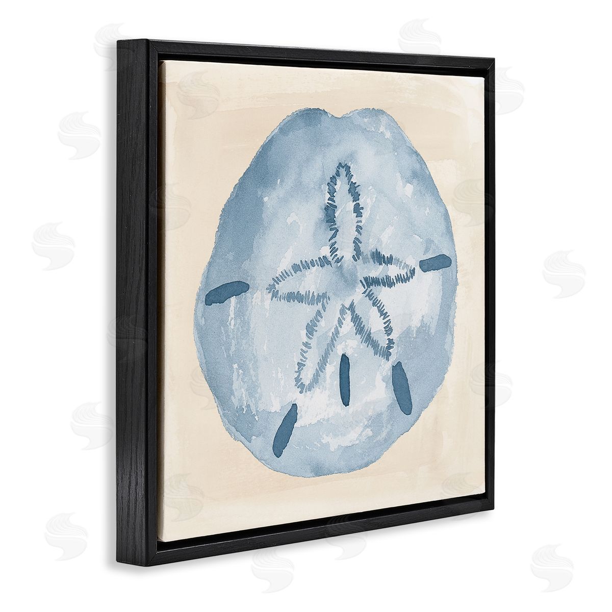 Lucille Price Casual Sand Dollar Beach Life Black Floating Frame Canvas Wall Art Print