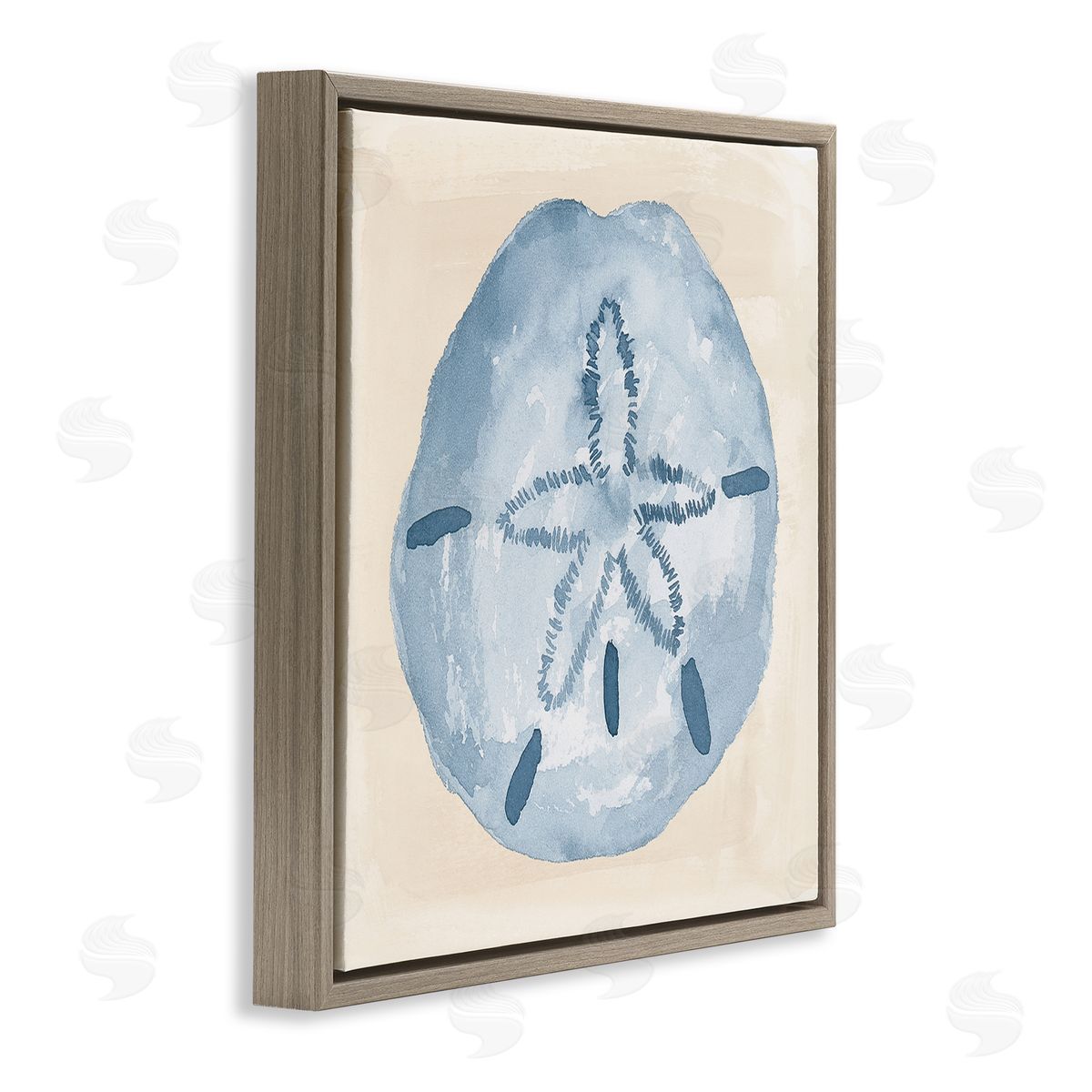 Lucille Price Casual Sand Dollar Beach Life Brown Floating Frame Canvas Wall Art Print