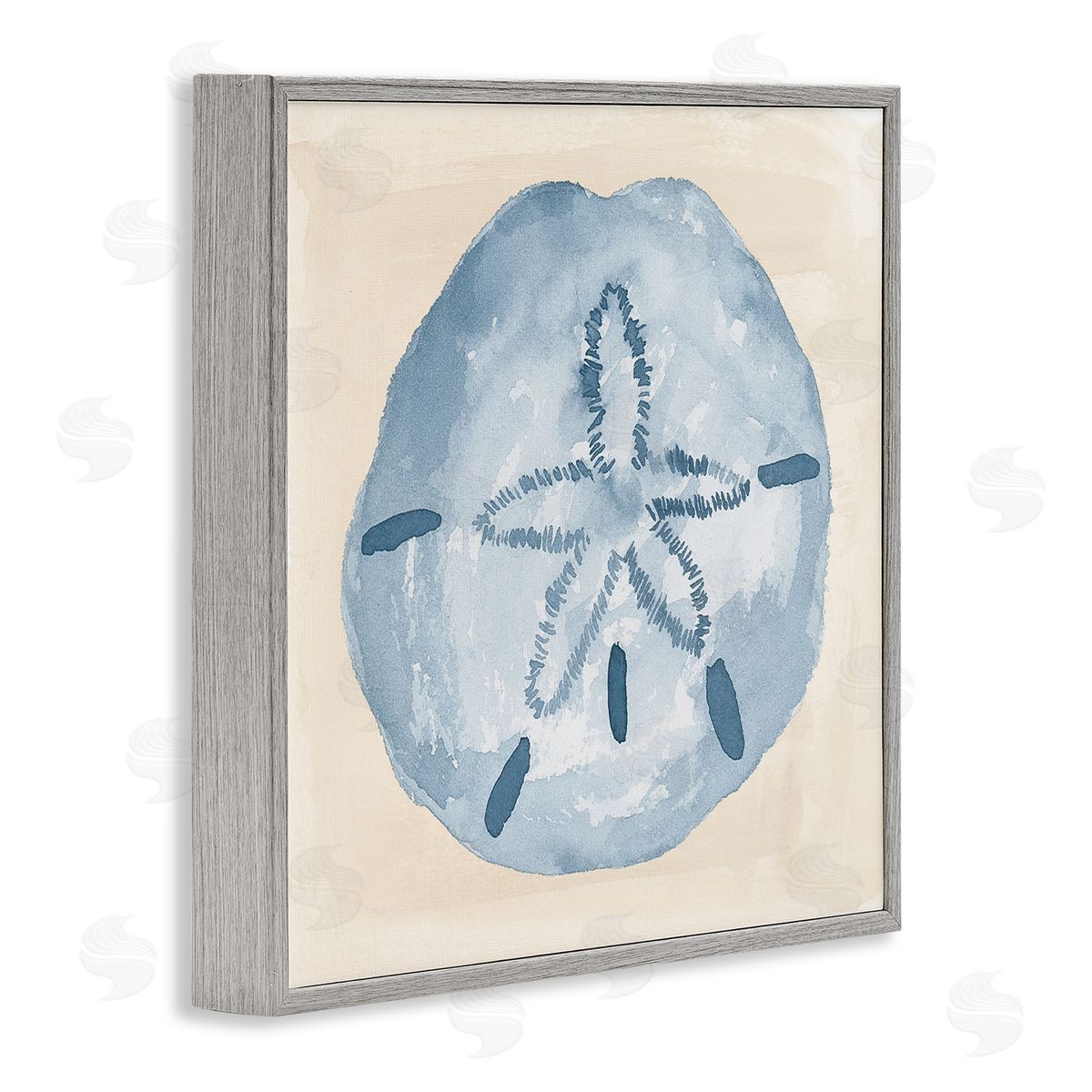 Lucille Price Casual Sand Dollar Beach Life Gray Framed Glicee Wall Art Print