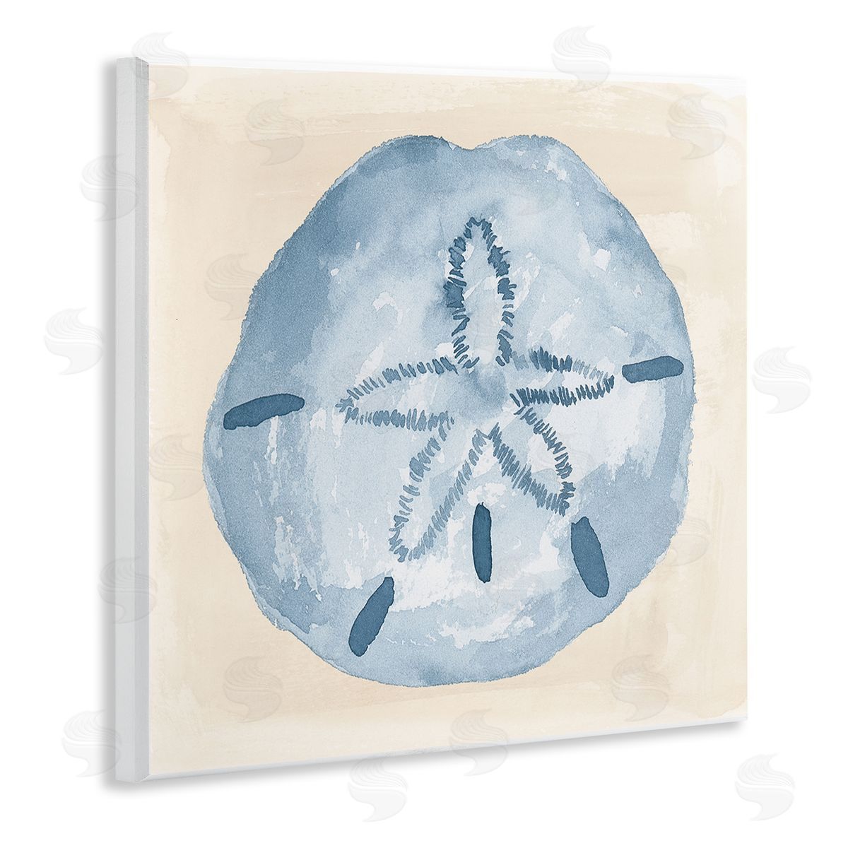 Lucille Price Casual Sand Dollar Beach Life Wooden Wall Plaque Art Print