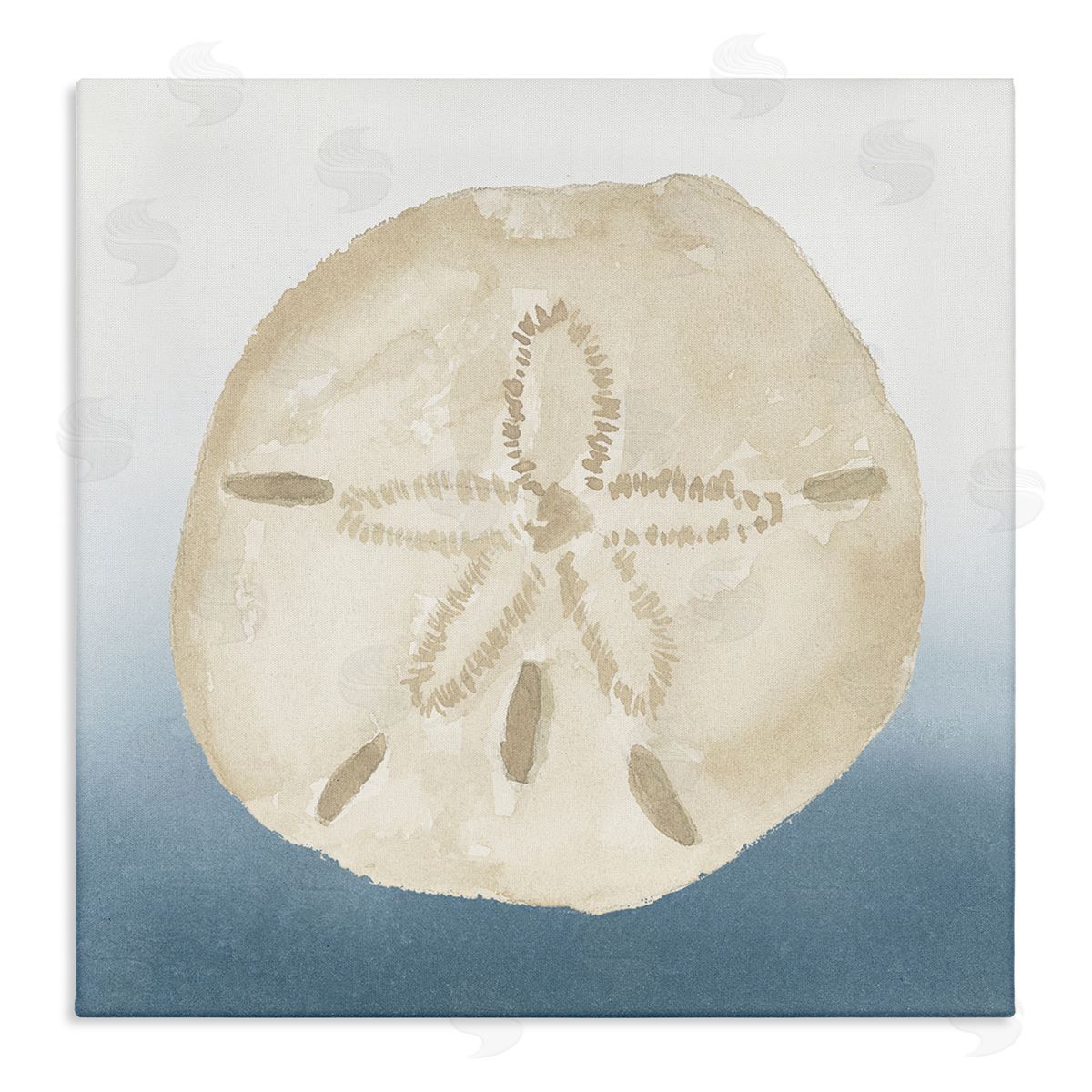 Lucille Price Beige Sand Dollar Seashell Stretched Canvas Wall Art Print