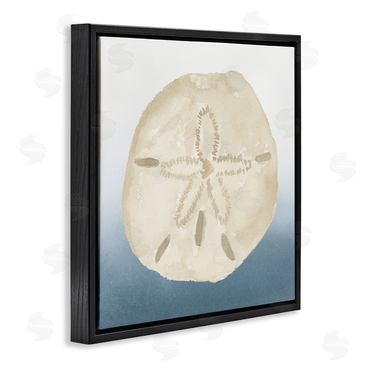 Lucille Price Beige Sand Dollar Seashell Black Floating Frame Canvas Wall Art Print
