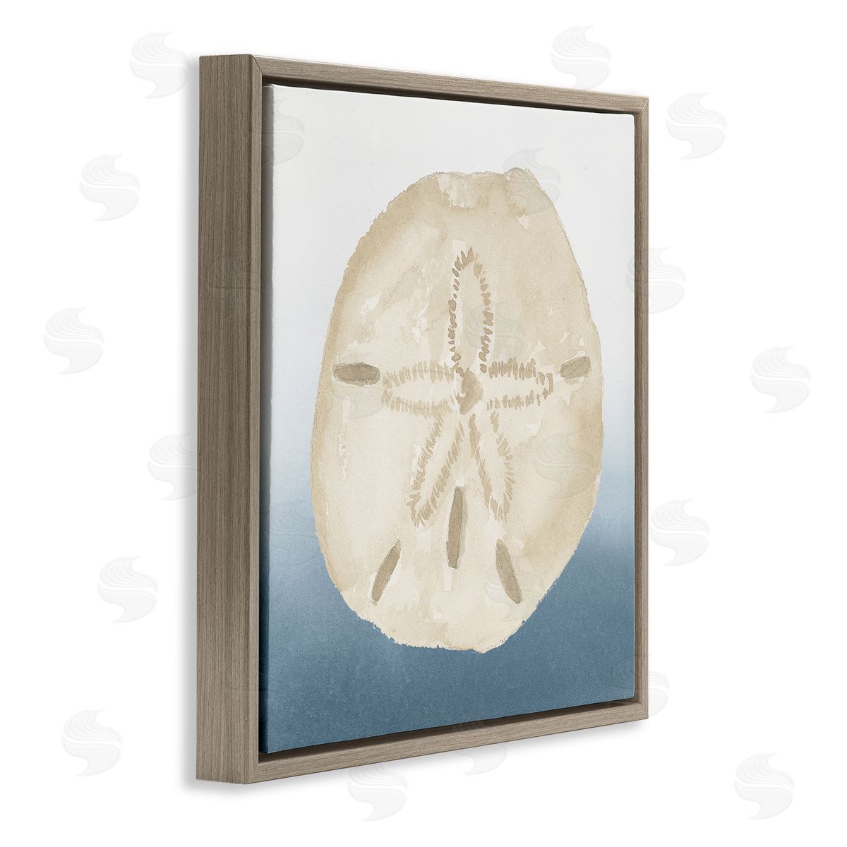 Lucille Price Beige Sand Dollar Seashell Brown Floating Frame Canvas Wall Art Print