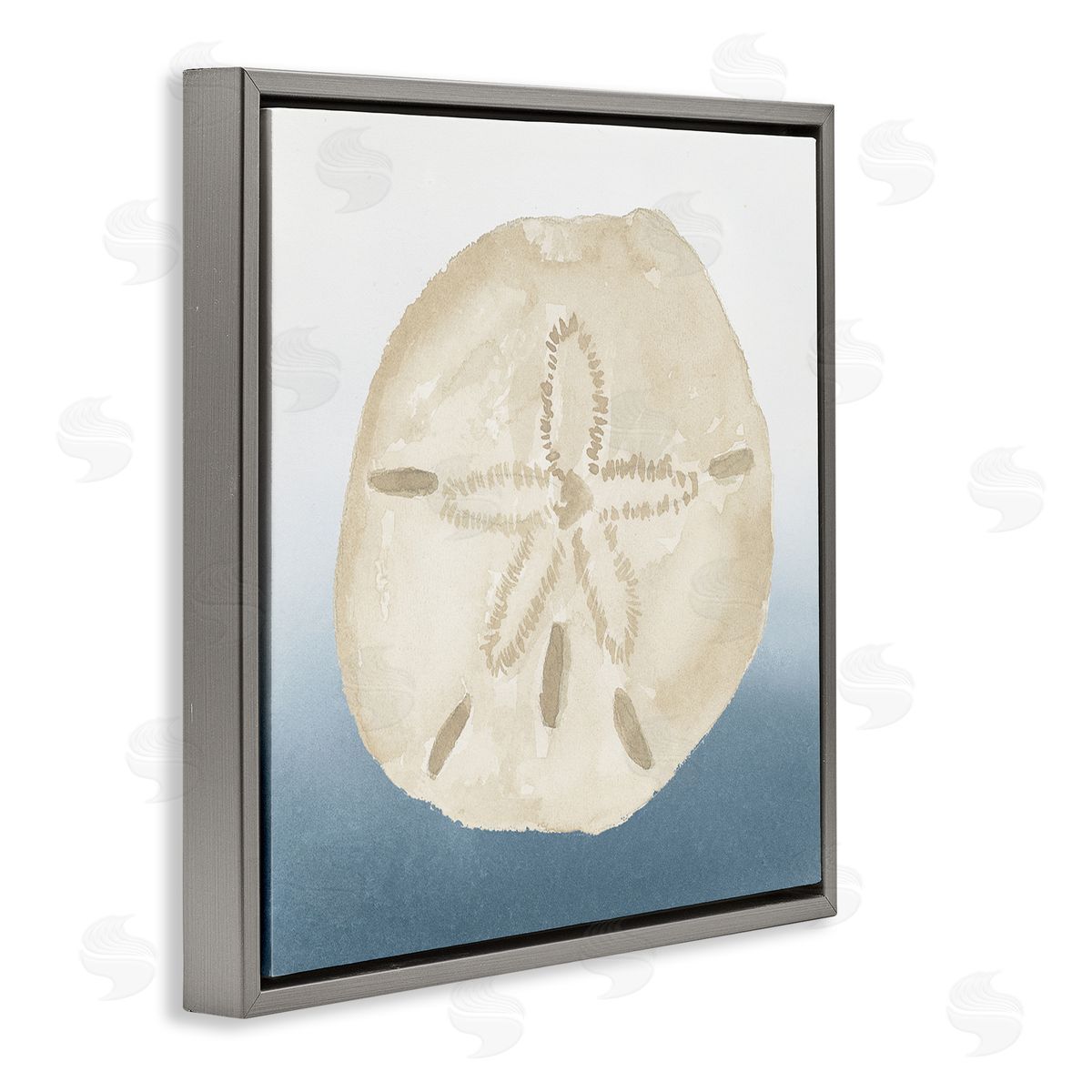 Lucille Price Beige Sand Dollar Seashell Gray Floating Frame Canvas Wall Art Print