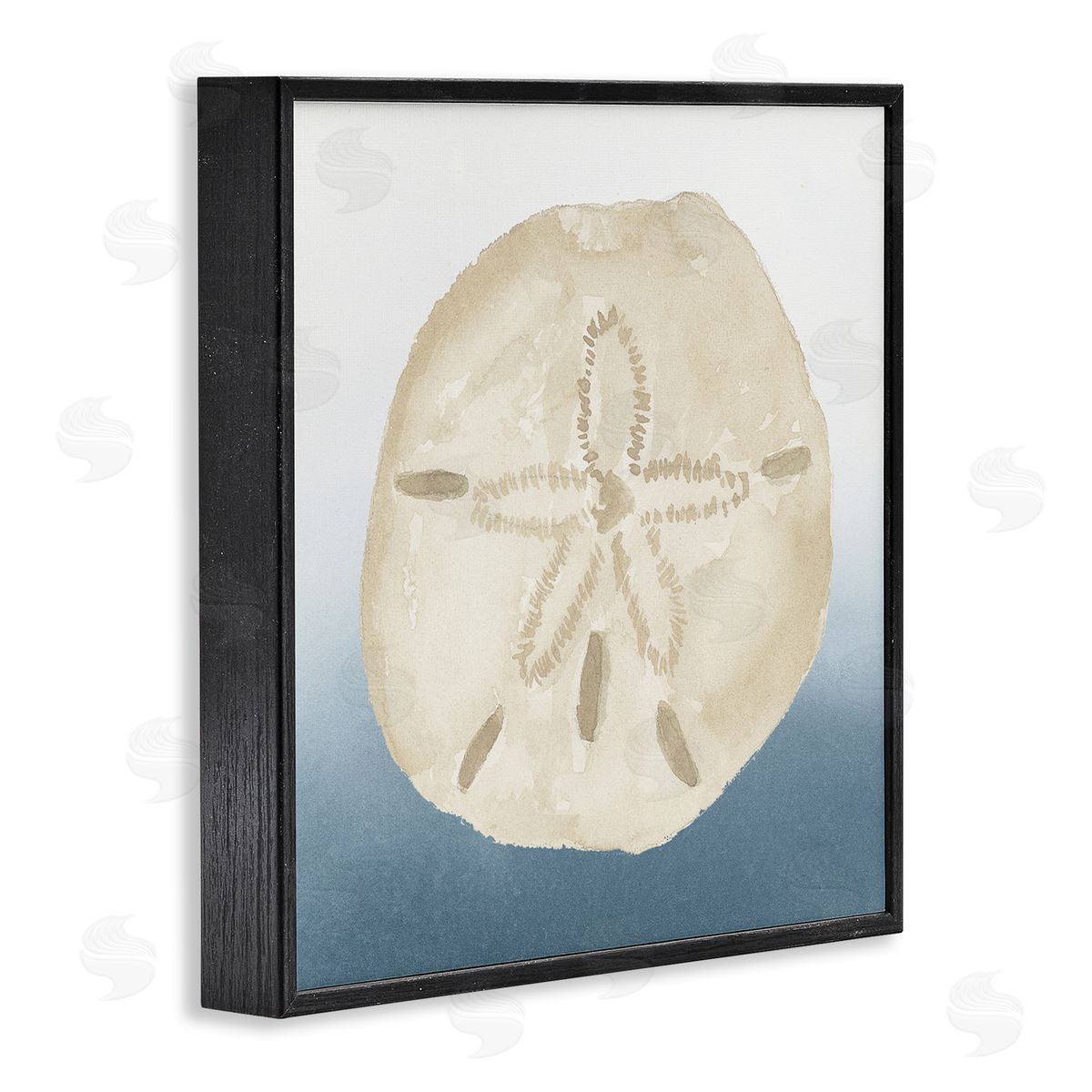 Lucille Price Beige Sand Dollar Seashell Black Framed Glicee Wall Art Print
