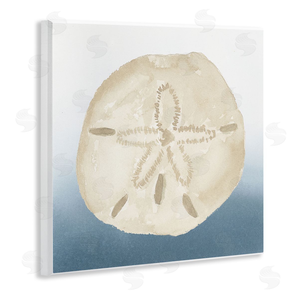 Lucille Price Beige Sand Dollar Seashell Wooden Wall Plaque Art Print