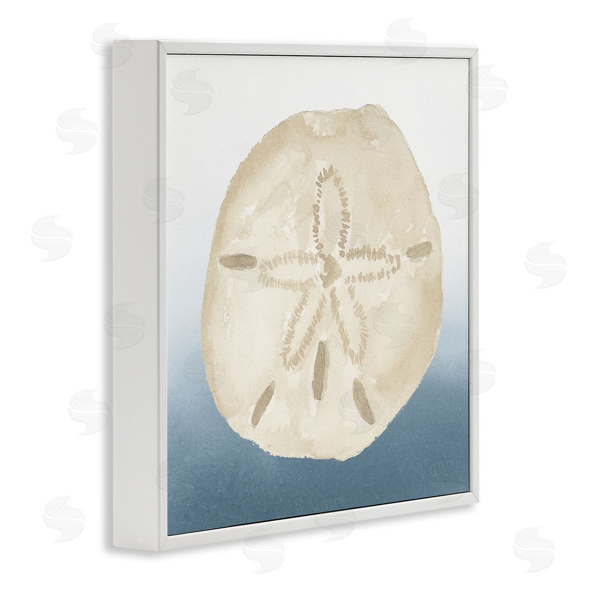 Lucille Price Beige Sand Dollar Seashell White Framed Glicee Wall Art Print