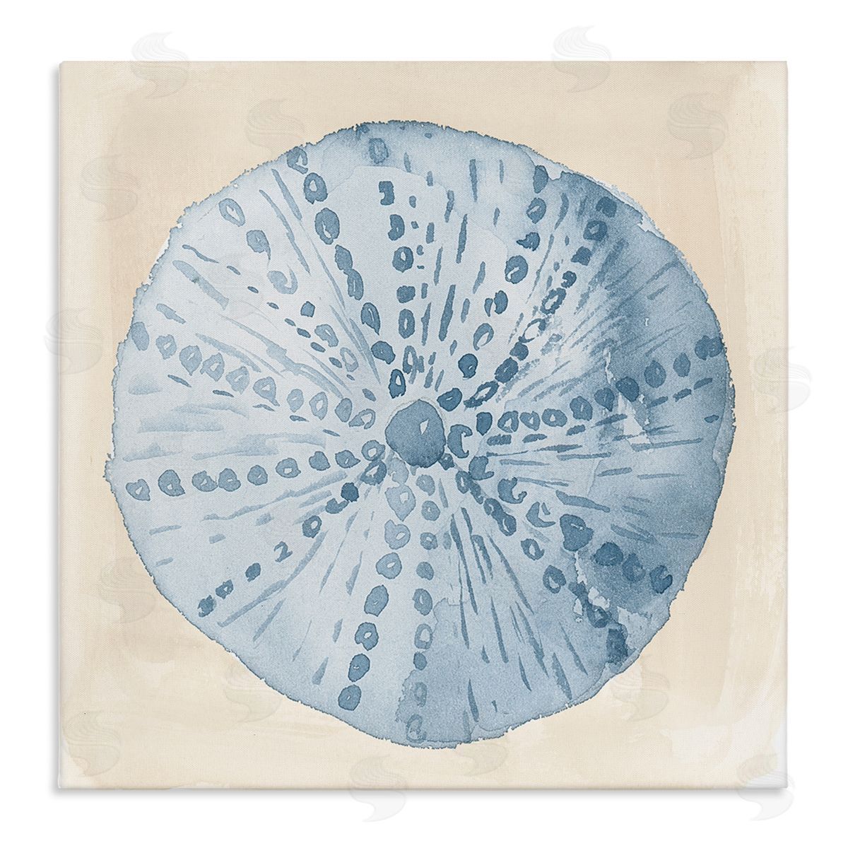Lucille Price Nautical Sea Life Round Shell Stretched Canvas Wall Art Print