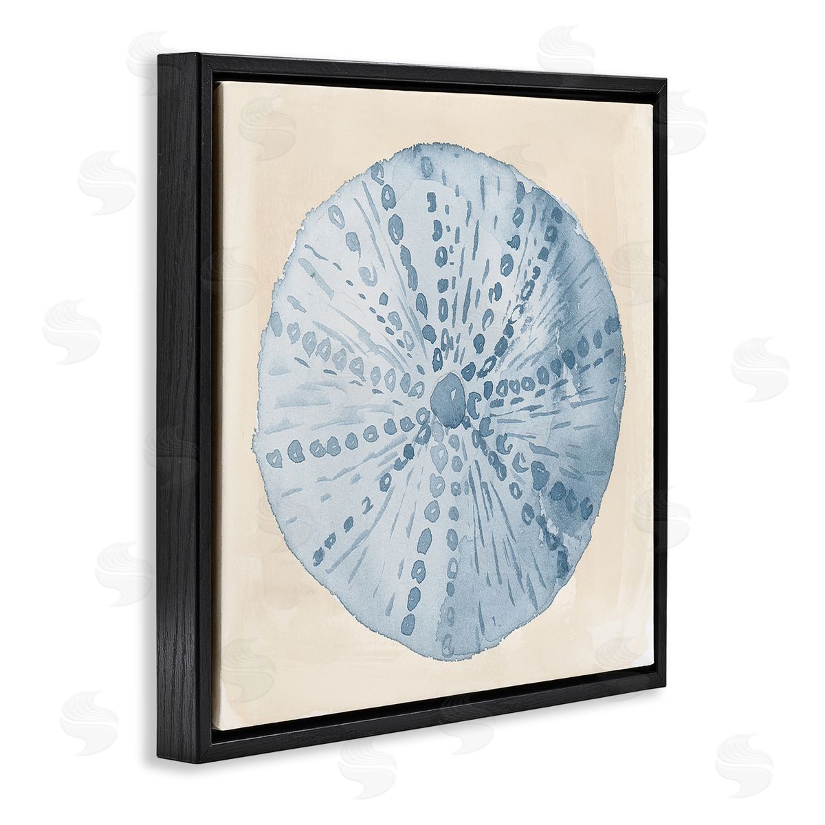 Lucille Price Nautical Sea Life Round Shell Black Floating Frame Canvas Wall Art Print