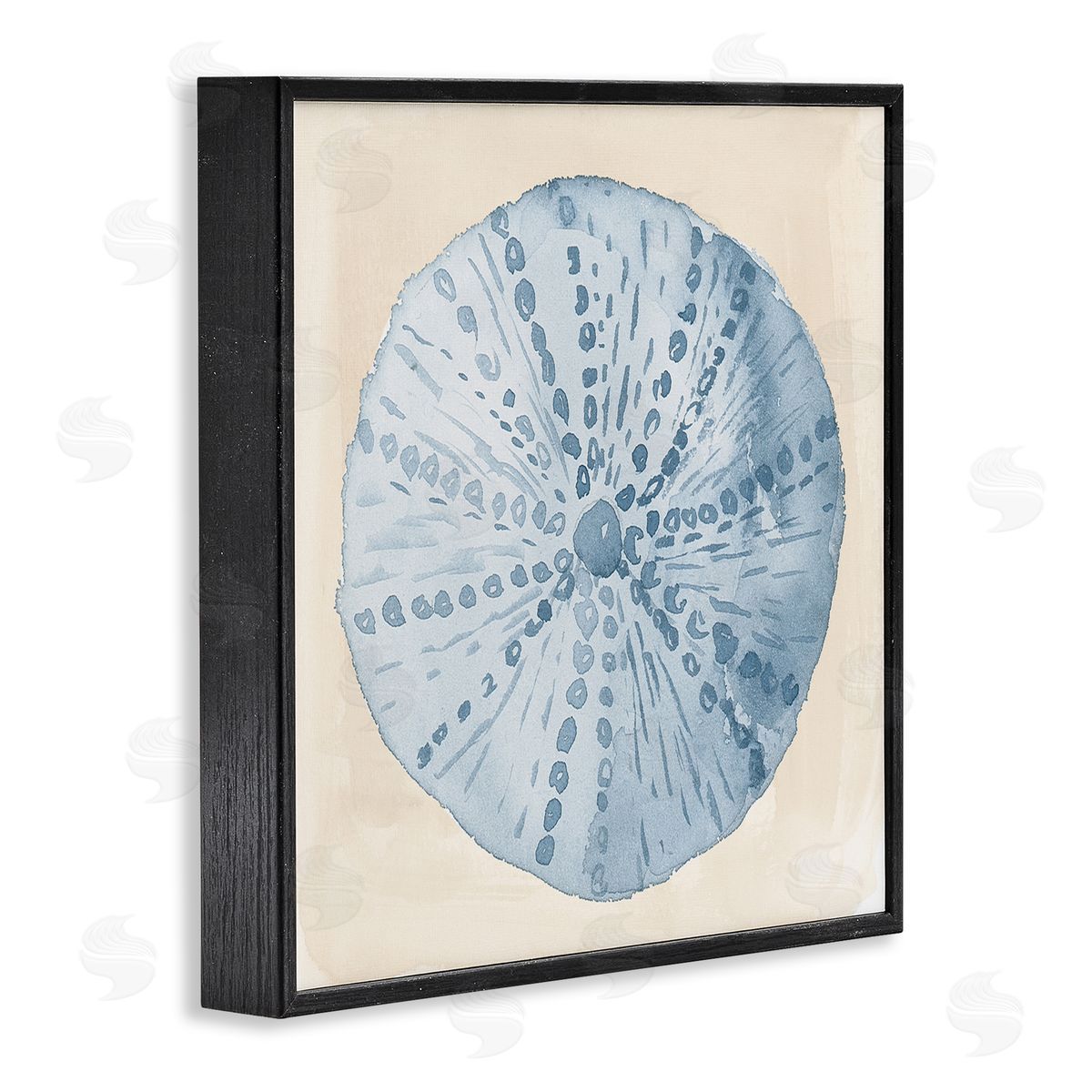 Lucille Price Nautical Sea Life Round Shell Black Framed Glicee Wall Art Print
