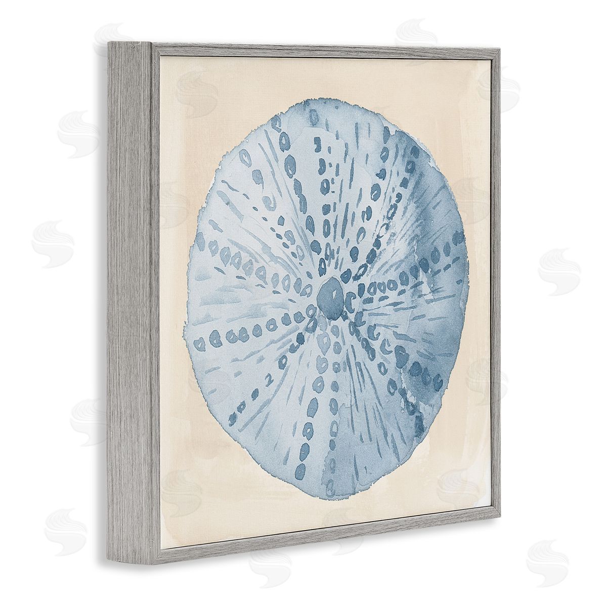 Lucille Price Nautical Sea Life Round Shell Gray Framed Glicee Wall Art Print