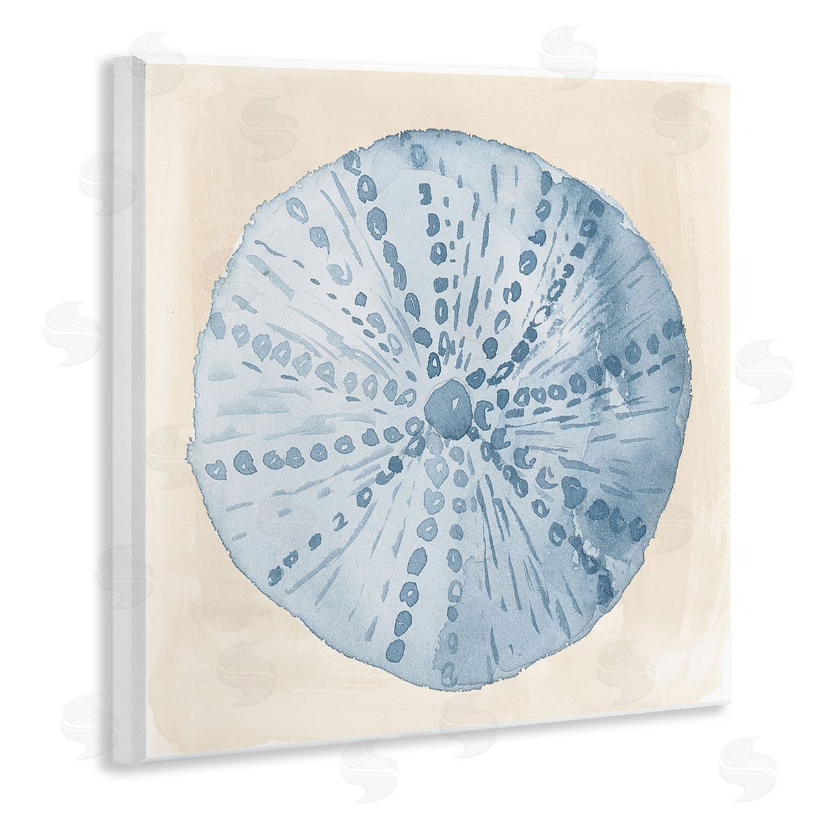Lucille Price Nautical Sea Life Round Shell Wooden Wall Plaque Art Print