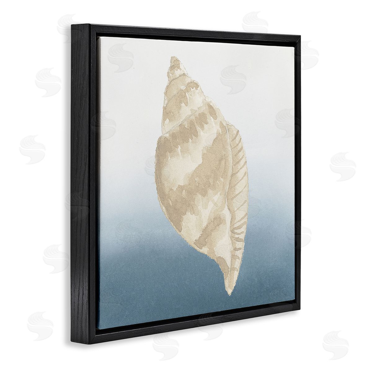 Lucille Price Casual Conch Nautical Life Black Floating Frame Canvas Wall Art Print