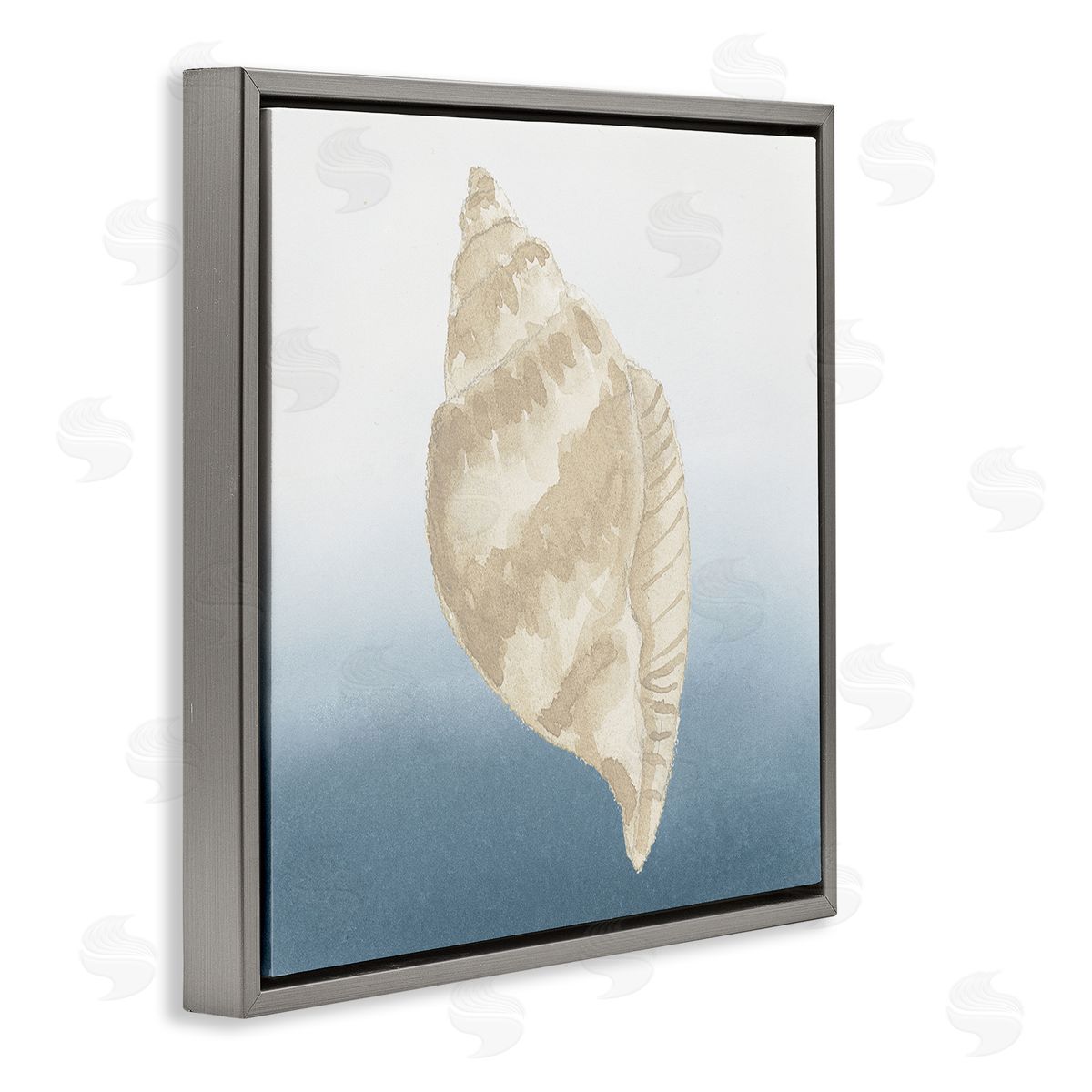 Lucille Price Casual Conch Nautical Life Gray Floating Frame Canvas Wall Art Print