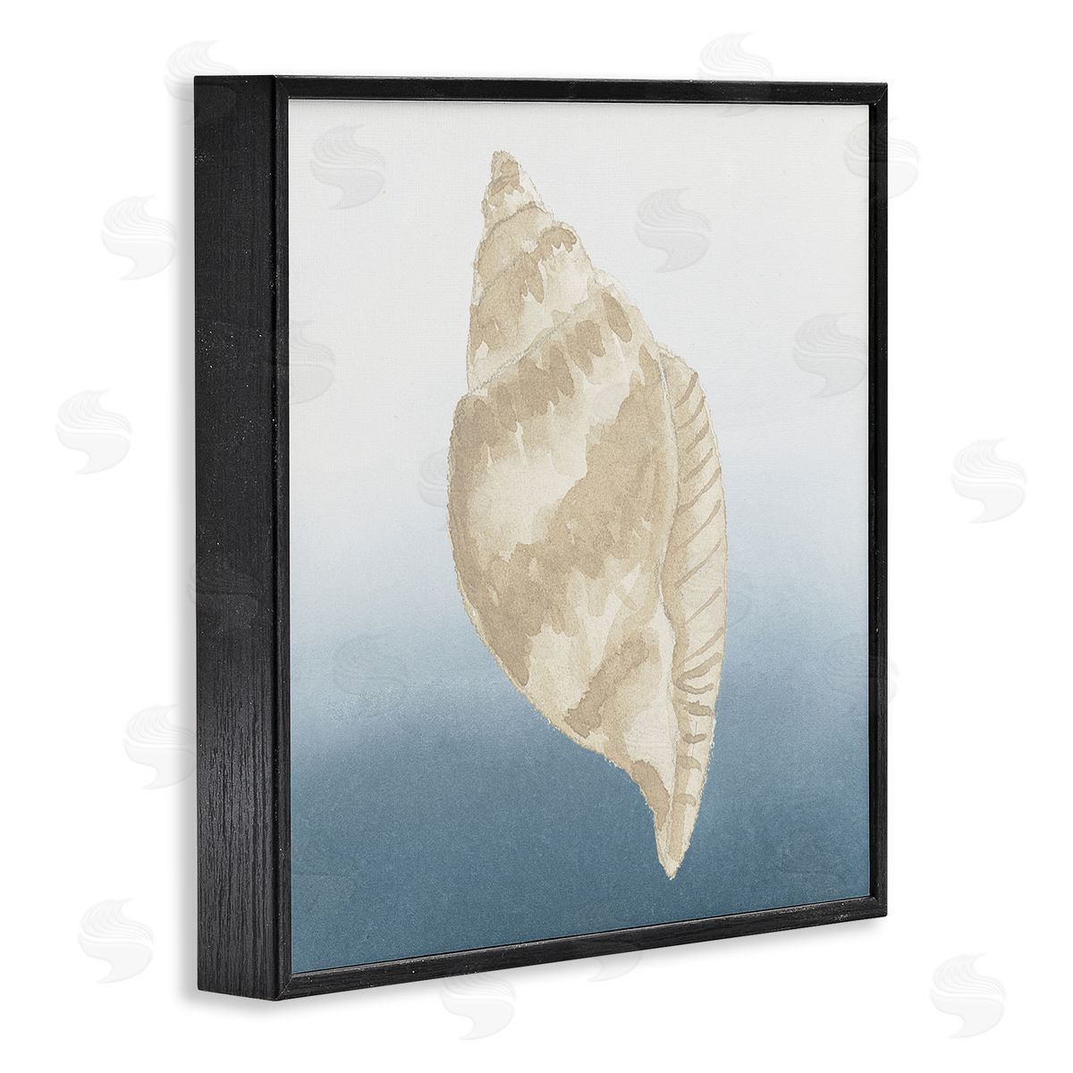 Lucille Price Casual Conch Nautical Life Black Framed Glicee Wall Art Print